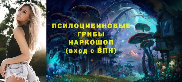 Альфа ПВП Зеленокумск