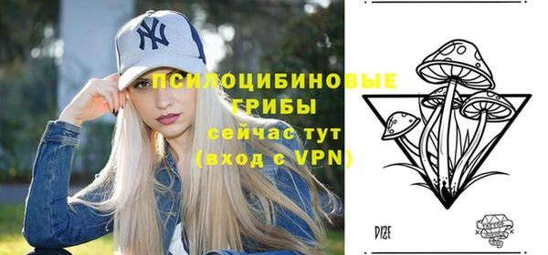 Альфа ПВП Зеленокумск