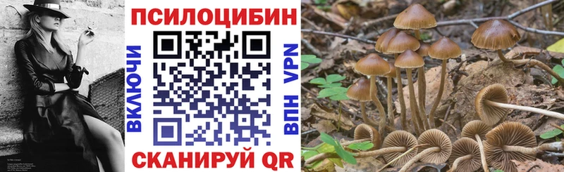 Купить где  Лыткарино  Галлюциногенные грибы Magic Shrooms 